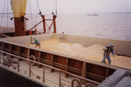 Coordinamos la carga de los primeros buques graneleros con Maíz y Trigo orgánico desde el Puerto de San Nicolás.