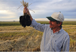 Acompañamos a los productores y exportadores más importantes de Argentina y Uruguay asistiéndolos en el sostenimiento de sus programas orgánicos y desarrollando conjuntamente cadenas de suministro para diversos clientes del exterior y el mercado local.